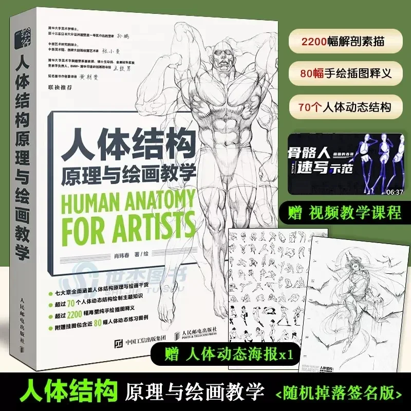 Imagem -02 - Livro de Ensino de Estrutura do Corpo Humano Jogo de Anime Figure Copy Coleção de Arte Anatomia para Artistas