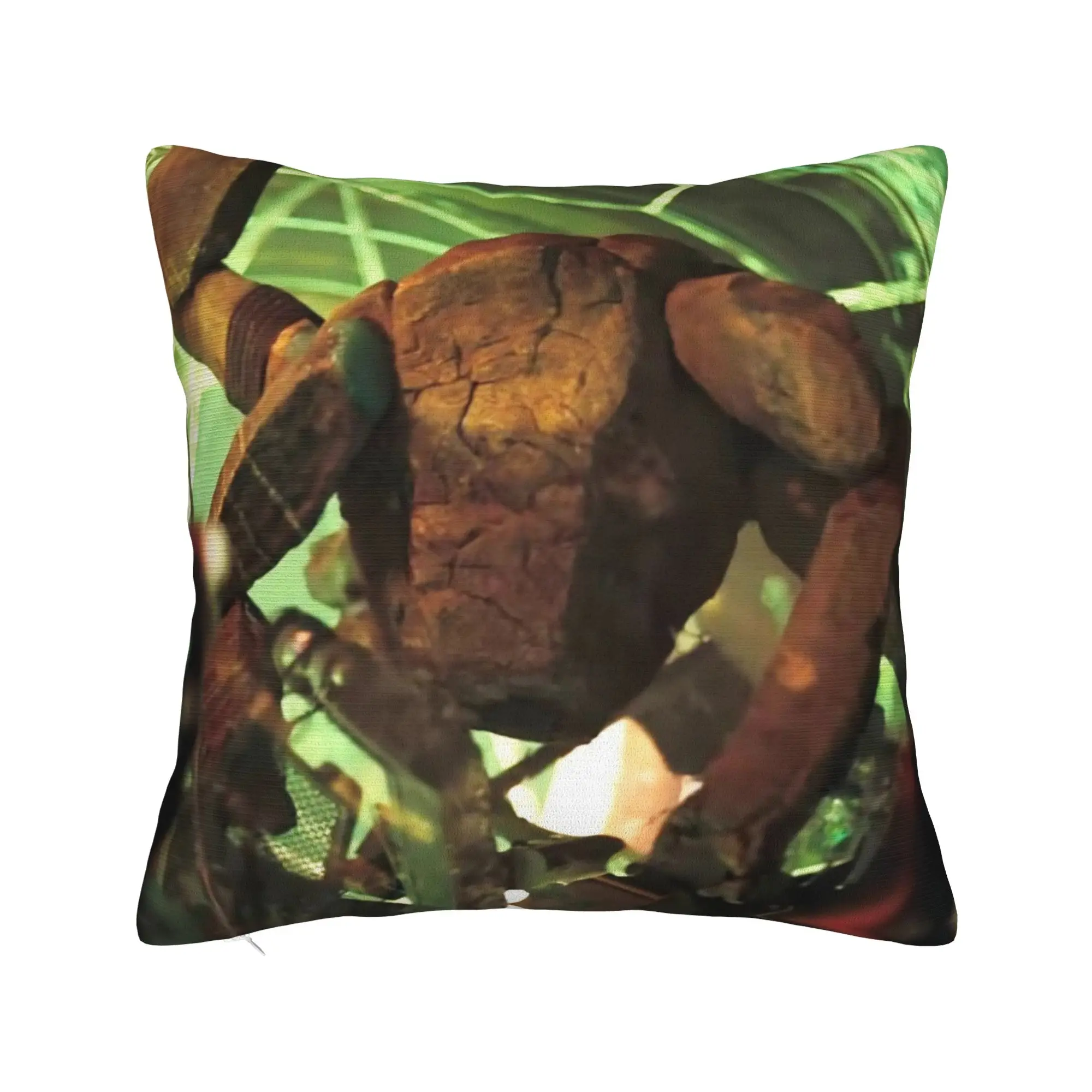 Project Hail Mary Pillowcase Polyester Cushion Cover Decoration Ryland Grace Rockys Pillow Case Cover Home Zippered 40X40cm