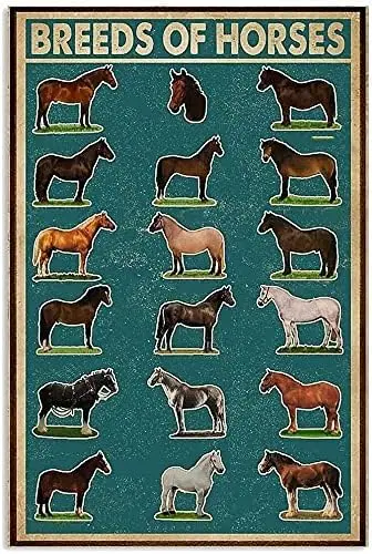 Celebration of Life Decorations Green Breeds of Horses Metal Tin Sign Wall Decor Man Cave Bar US United States Rustic Retro Gara