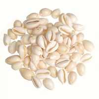 50pcs Smooth Oval Conch Spiral Shell Beads for DIY Jewelry Making - Perfect Loose Spacer Beads with Holes