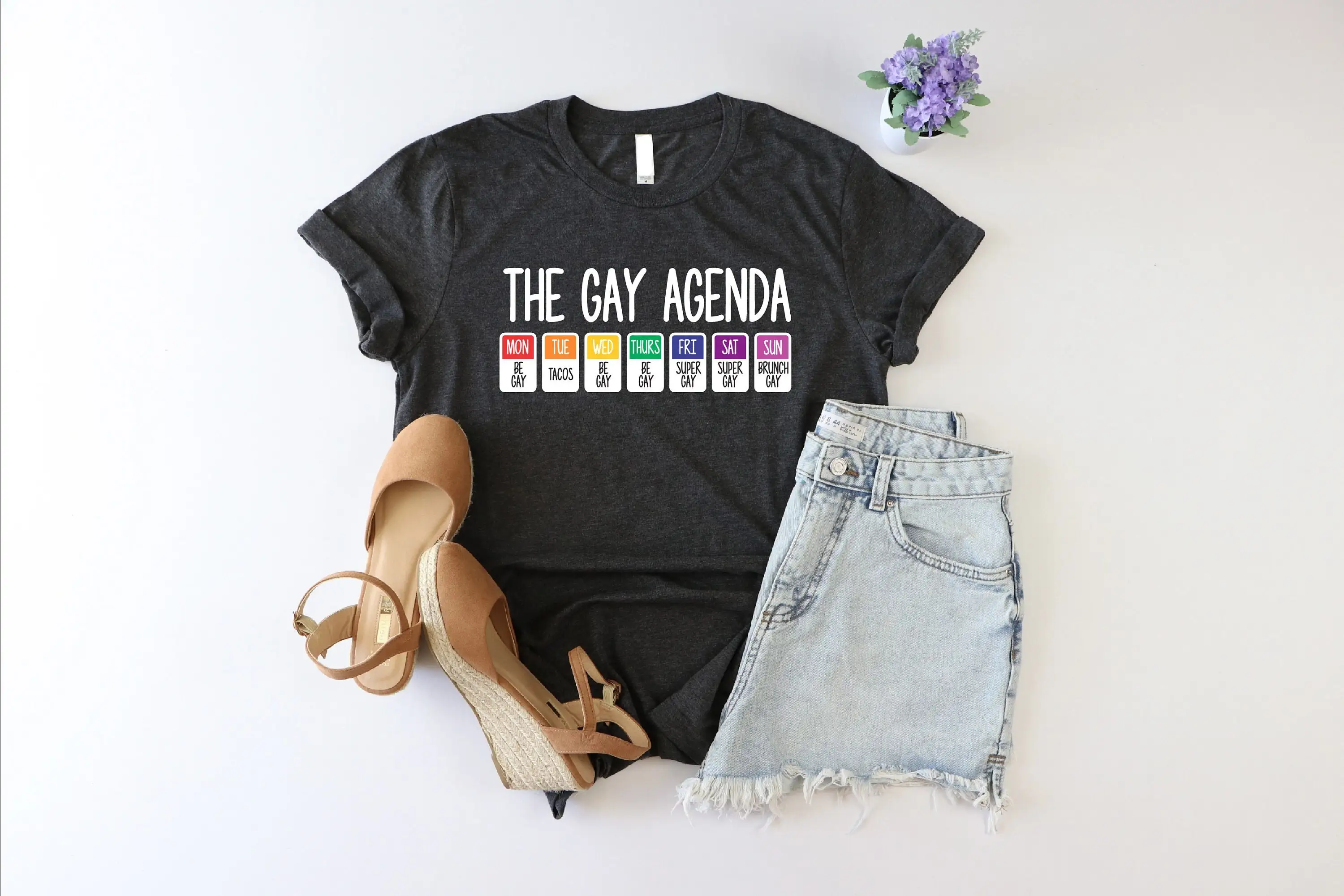 The Gay Agenda T Shirt Funny LGBTQ Pride Rainbow Bisexual Equality Couple Super Be