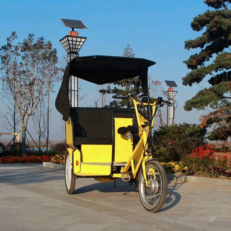 48V Differential Motor Electric Tricycle Bicycle Taxi Popular in Scenic Spots