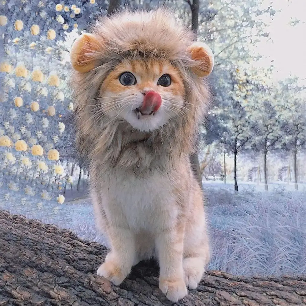 Pet Cat Decor Accessories Lion Wig Fancy Hair Cap Pet Supplies Cute Lion Headgear Cat Hat Mane Wig for Dogs and Cat Small Dog