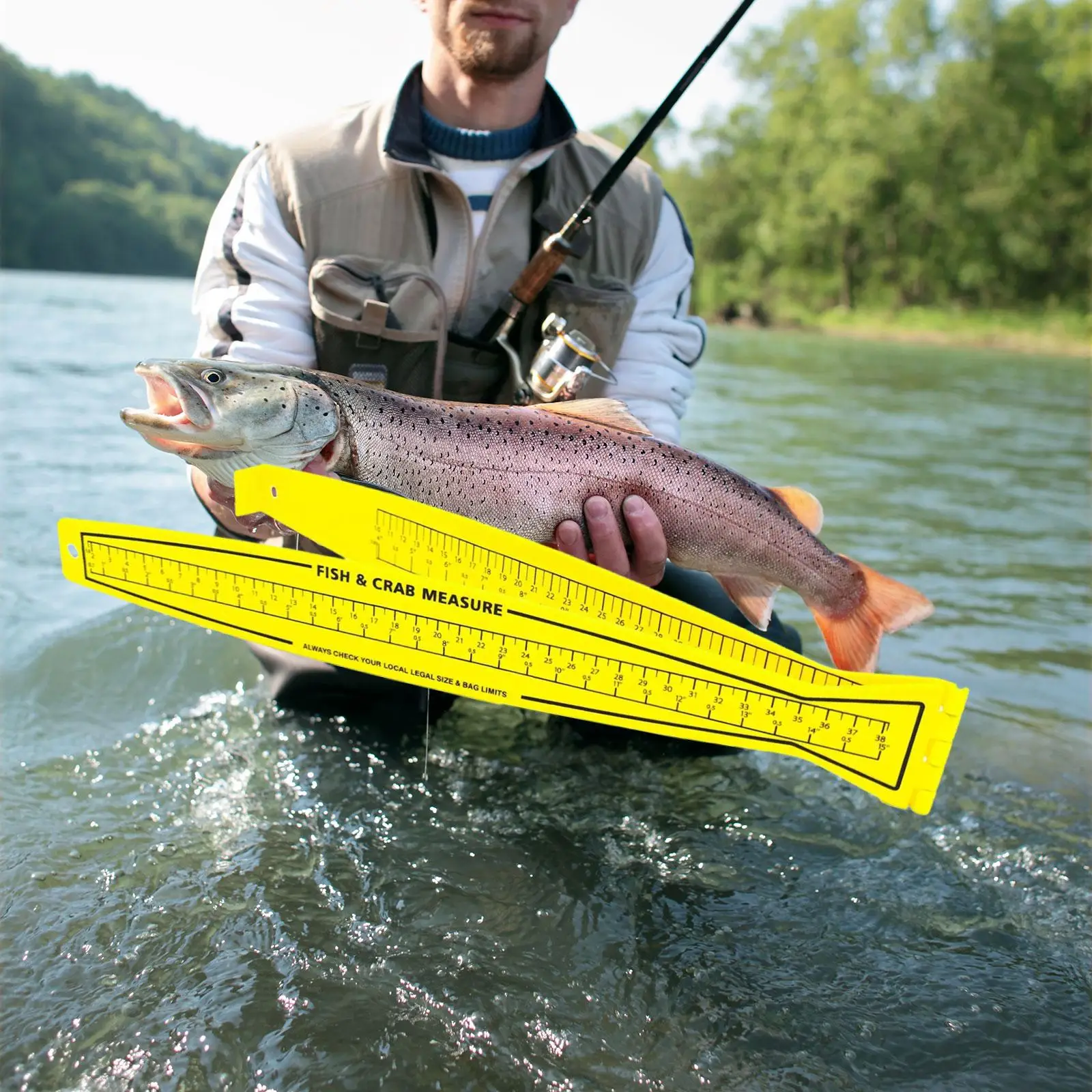 

Измерительная доска для рыбы 31 дюйм/80 см, измерение морской рыбалки для берега лодки