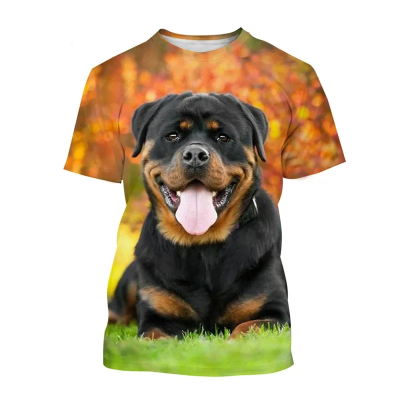 

3D Printing Creative Aesthetic Dog Pattern Quick Drying Breathable Sport Man Plus Size Crewneck T-shirt