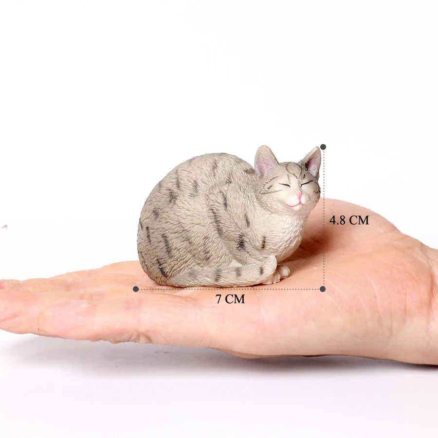 Cat -27