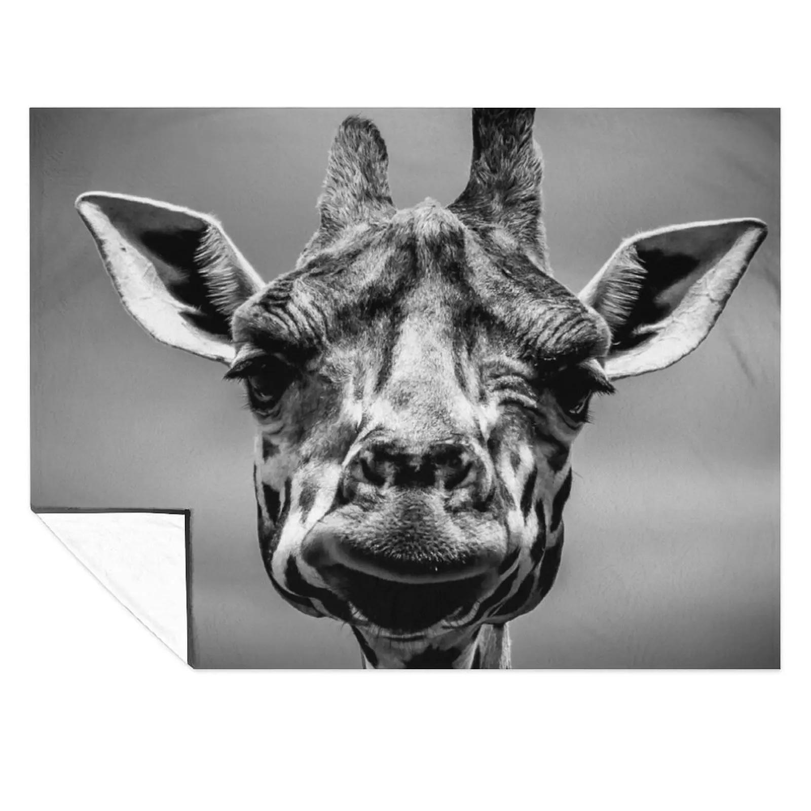 

Giraffe Love Throw Blanket Fashion Sofas sofa bed Bed covers funny gift Blankets