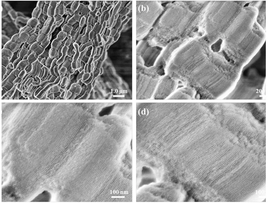 Multilayer V4C3Tx MXene