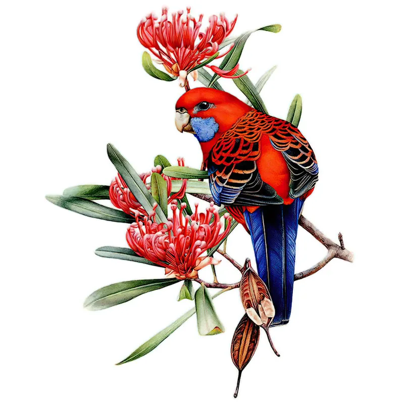 T148# Hand painted Parrot Wall Sticker Bathroom Toilet Decor Living Room Cabinet Home Decoration Decals