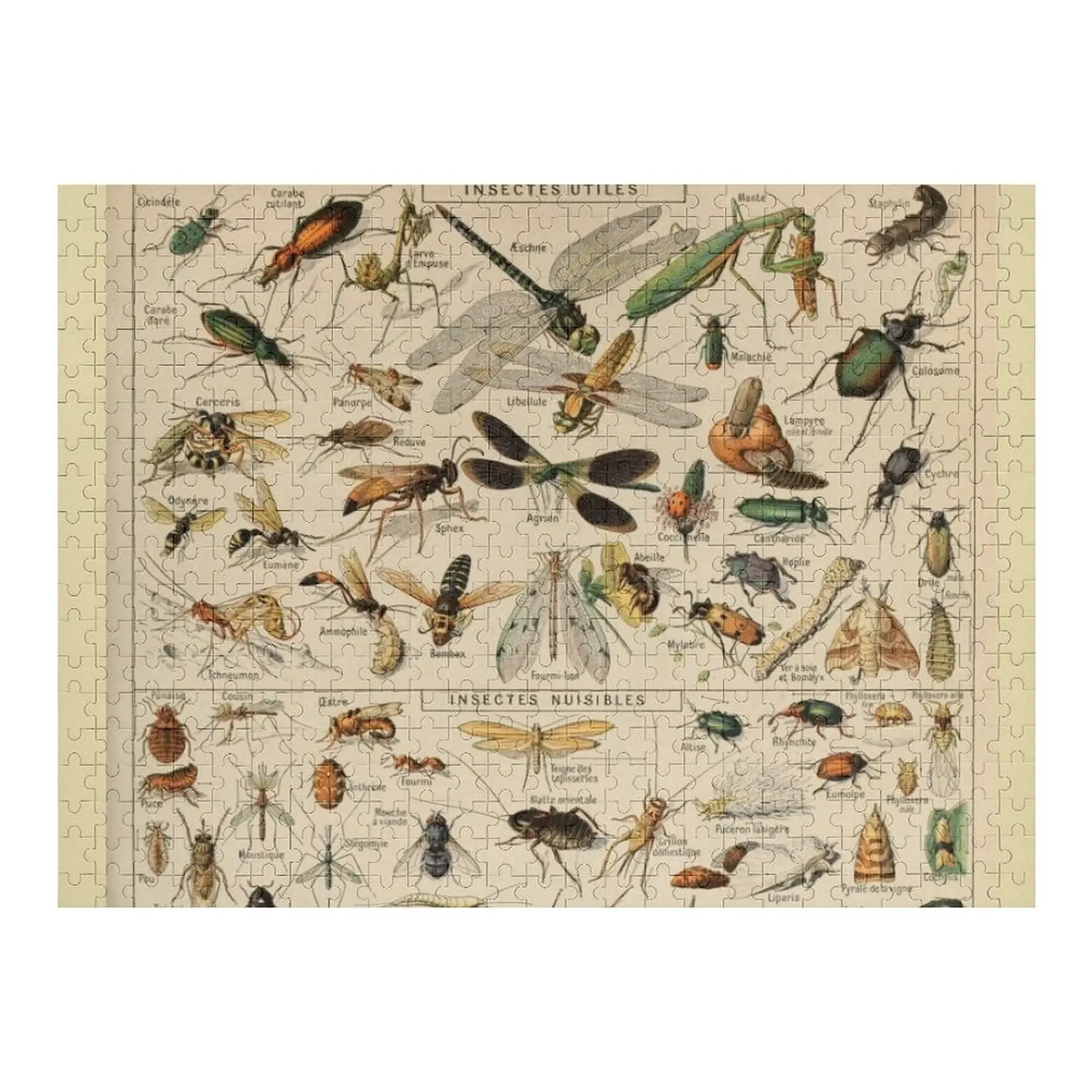 

Adolphe Millot Insectes Jigsaw Puzzle Wooden Animal Wood Animals Puzzle