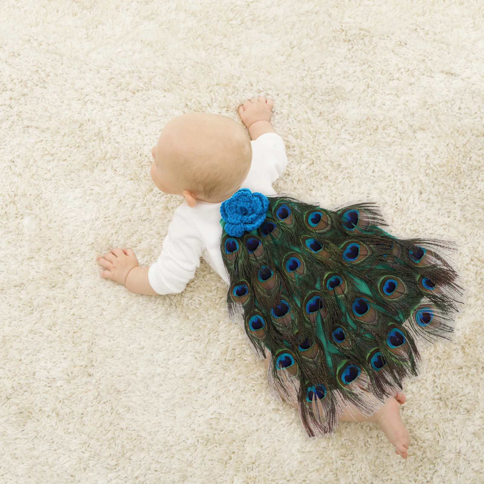 

's Photography Clothing Accessories Shooting Props Softbox Clothes Peacock