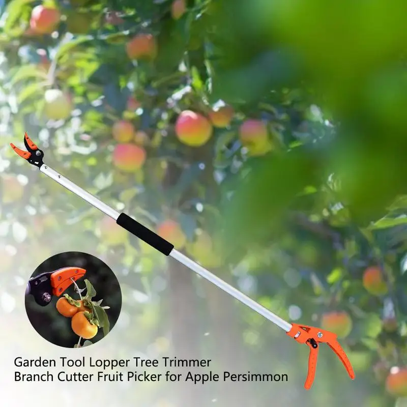 1m Fruit Picker Short Reach Pruning And Hold Bypass Pruner Cutting Apple Grape Peach  Fruit Picker Tree Cutter Garden Tools