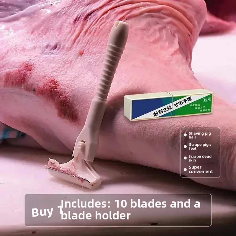 Pig Hair Scraping Knives,Meat Dehairing Tool,Stainless Steel Hair Scraper,Professional Butchery Supplies,Farm Meat Processing