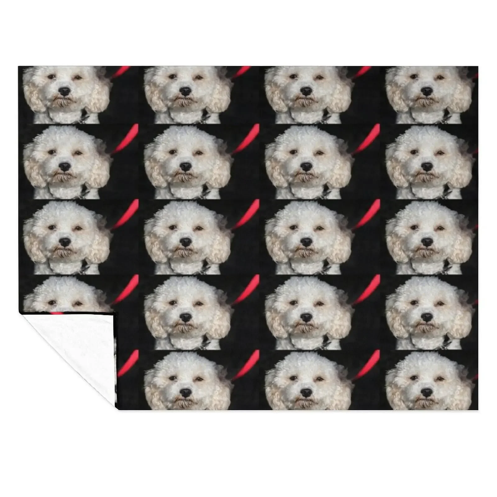 

Cavachon. Throw Blanket Giant Sofa Plaid on the sofa Polar Hairy Blankets