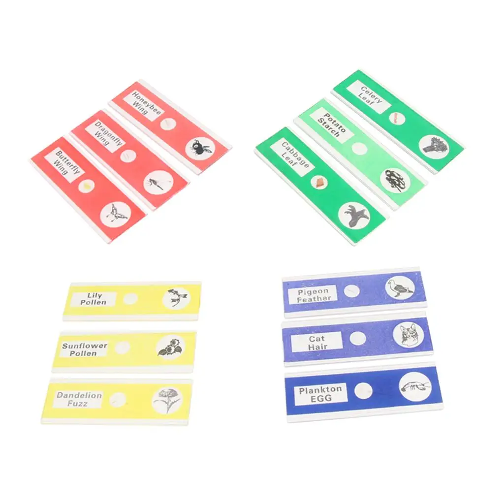 3-4pack 12x Prepared Microscope Slides Biological Specimen Sections Educational