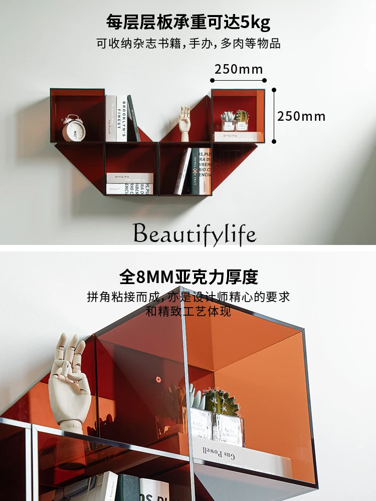 Wall-Mounted Modeling Wall Shelf Living Room Wall Decorations Acrylic Bookcase Wall Mounted Storage Rack