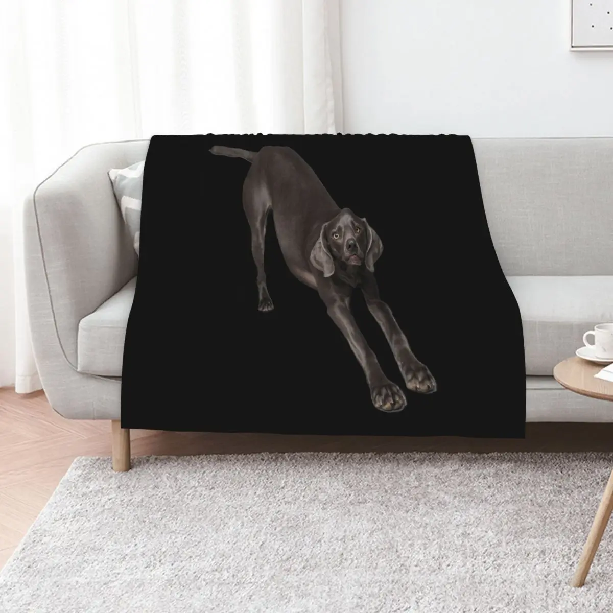 Weimaraner bow Throw Blanket Portable Lightweight Blanket for Travel Camping