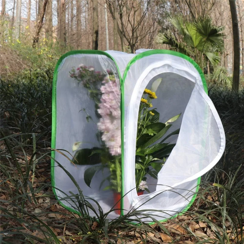 

2-Pack Insect And Butterfly Habitat Cage Terrarium -Up Butterfly Enclosure (2 X 15.7 X 15.7 X 23.6Inch) White+Green