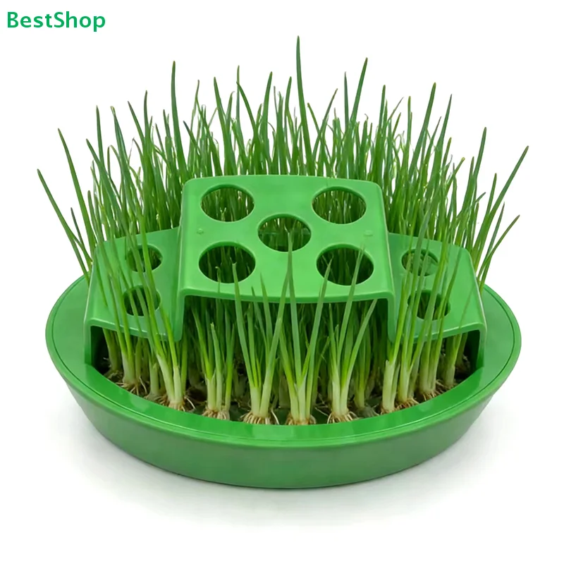 

Новинка: Лоток для выращивания кошачьей травы без почвы с сетчатой крышкой, гидропонная емкость из пищевого полипропилена для травы для домашних животных