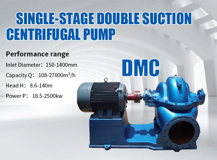 OEM Large Flow High Head Good Price Double Suction Water Pump With High Quality