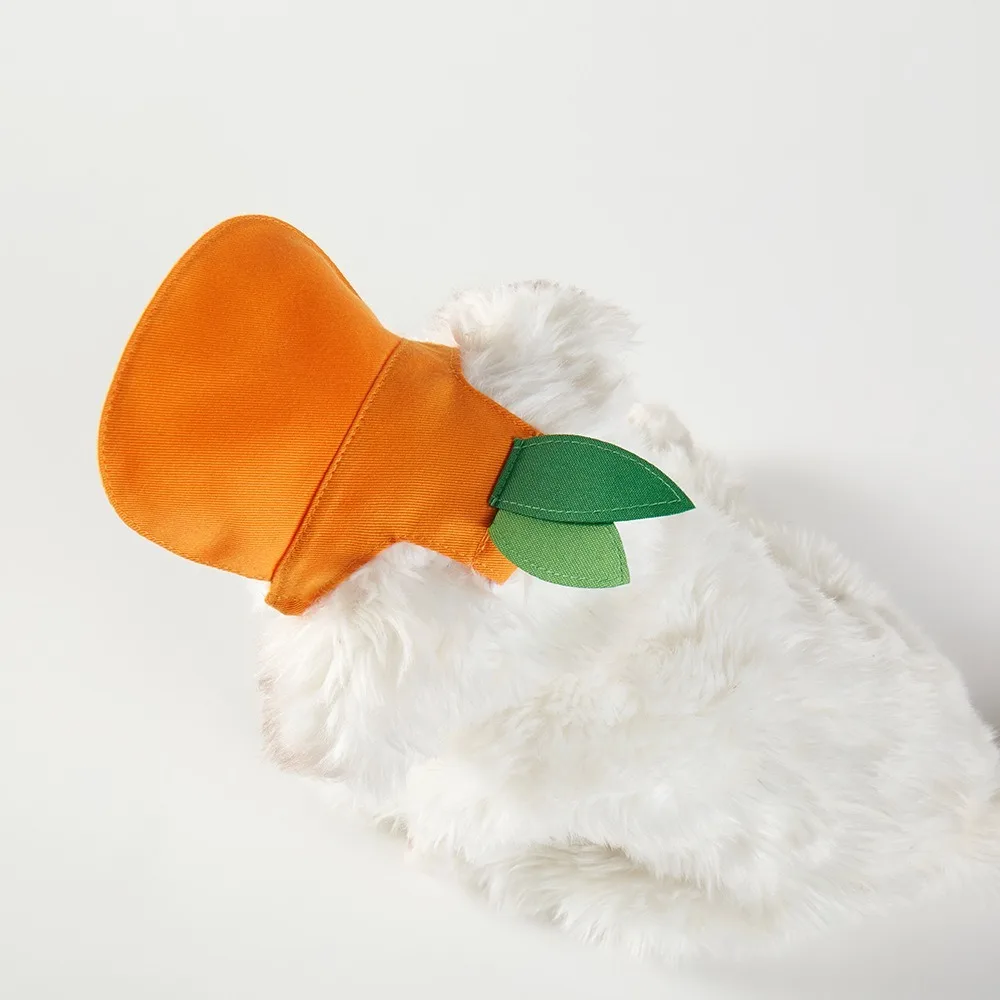 اكسسوارات الحيوانات الأليفة البرتقال الكلب قبعة الشمس تنفس قابل للتعديل قبعة بيسبول للحيوانات الأليفة مريحة القط واقية من الشمس قبعة في الهواء الطلق داخلي