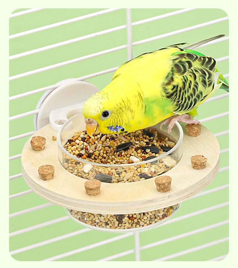 Bird Parrots Feeding Bowl with Cork Stopper Toys Chew Toys Transparent Bowl Plastic Food Cup For Cage Hanging Seed Water Feeder 1