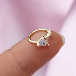 18G 1Pcs Piercing Nose Ring Ear Nose Hoops Heart Star Cz Helix Cartilage Tragus Earrings Nostril Body Jewelry