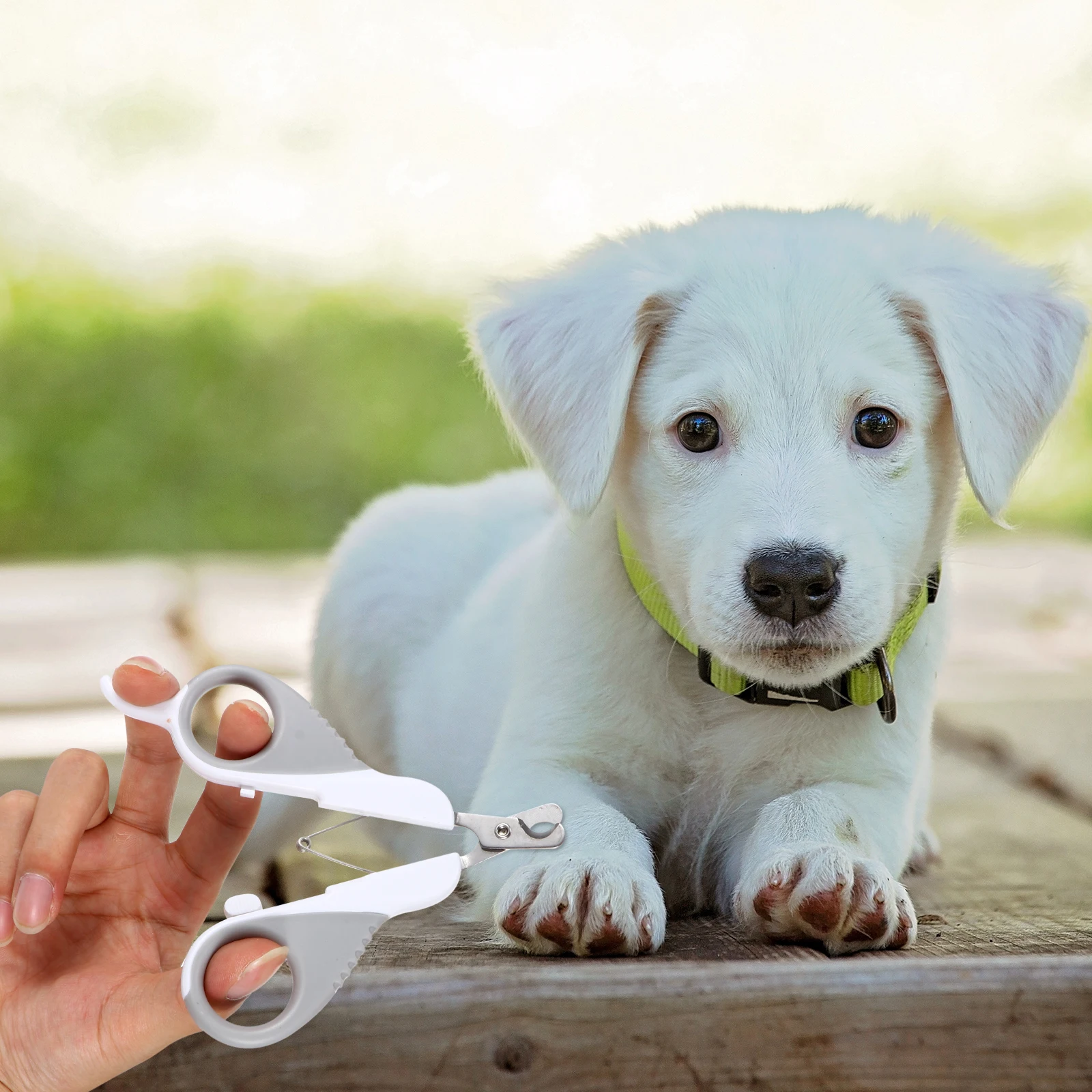 

Ergonomic Pet Nail Clipper Durable Dog Cat Claw Trimmer Grooming Tool Design Nail Cutter For Pets Trimming Scissors