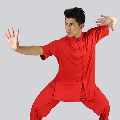 

Martial Arts Milk Silk Practice Clothes Long Sleeves Top + Pants Men Chinese Spring Autumn Kungfu Uniform Women Tai Chi Costume