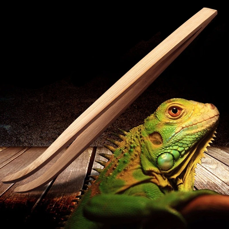 28cm Long Tweezers Bamboo Reptile Feeding Tongs Lizard, Gecko, Turtle, Snake, Spider, Bird, Terrarium Cleaning Tool terrario