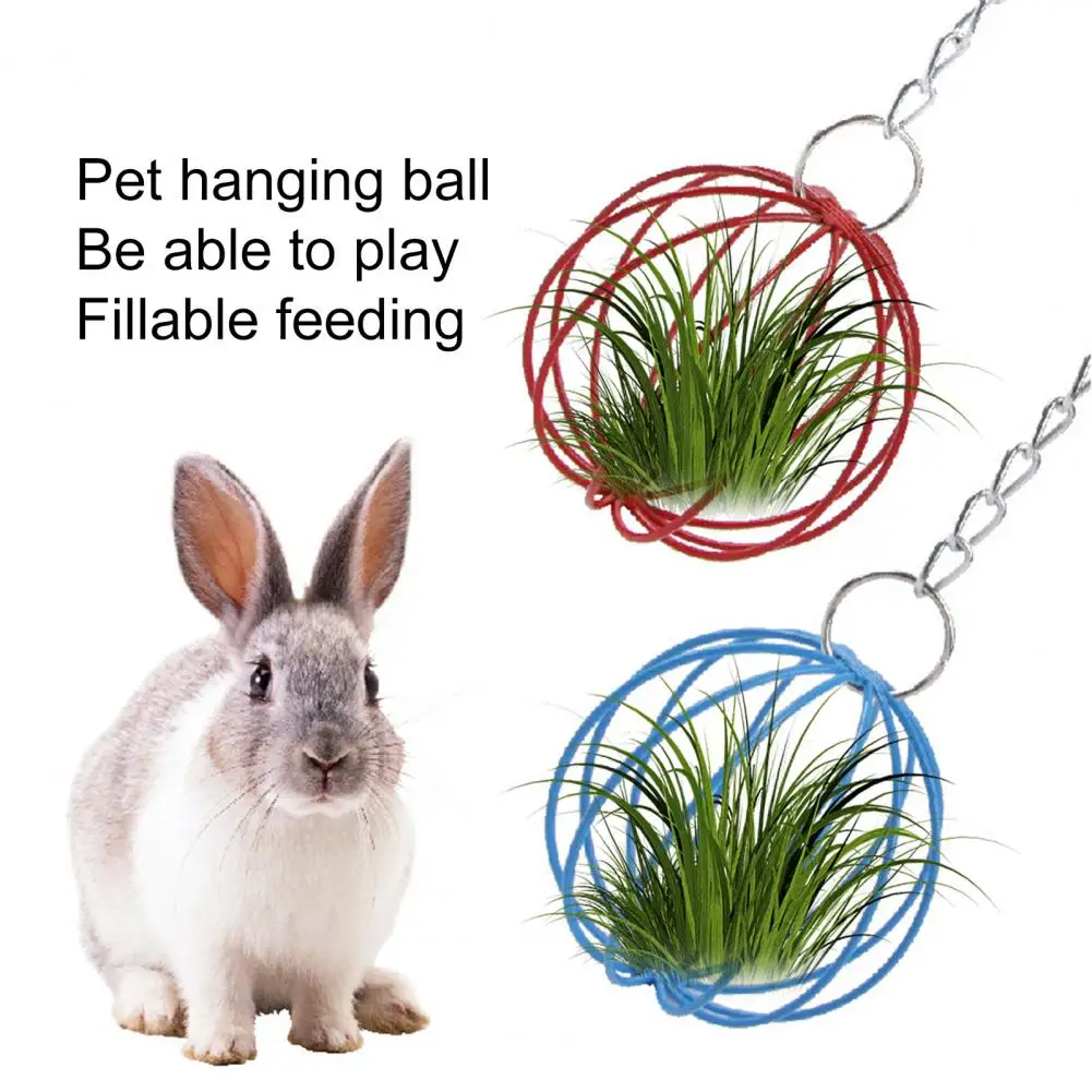 Hanging Long Chain Round Rabbit Grass Ball Small Metal Hamster Grass Ball Rack Guinea Pig Grass Feeder Pet Toy Pet Supplies