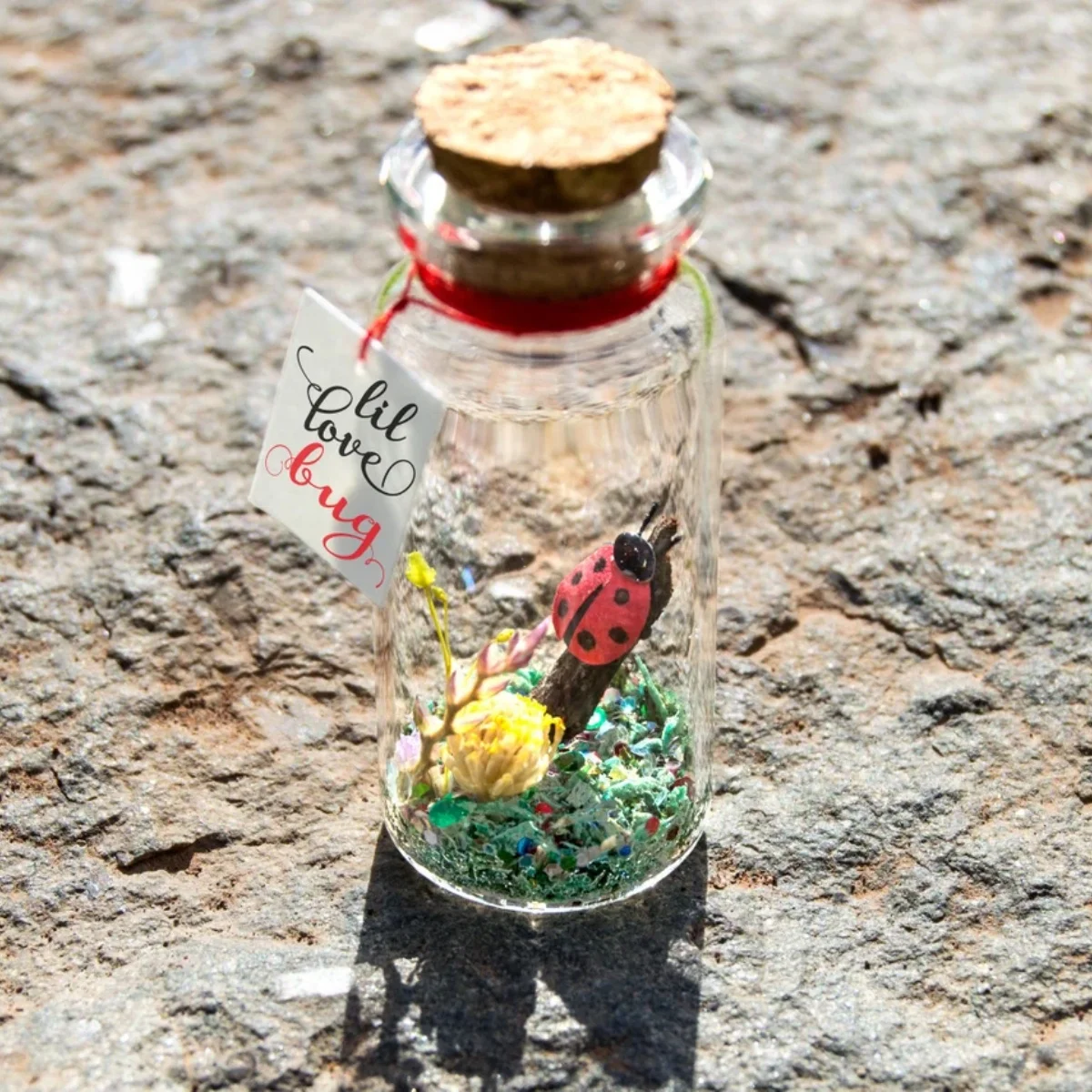 

Подарок с божьей коровкой для подруги, персонализированный подарок для парня, подарок на годовщину для него, сообщение с ошибками в бутылке, подарок на день Святого Валентина