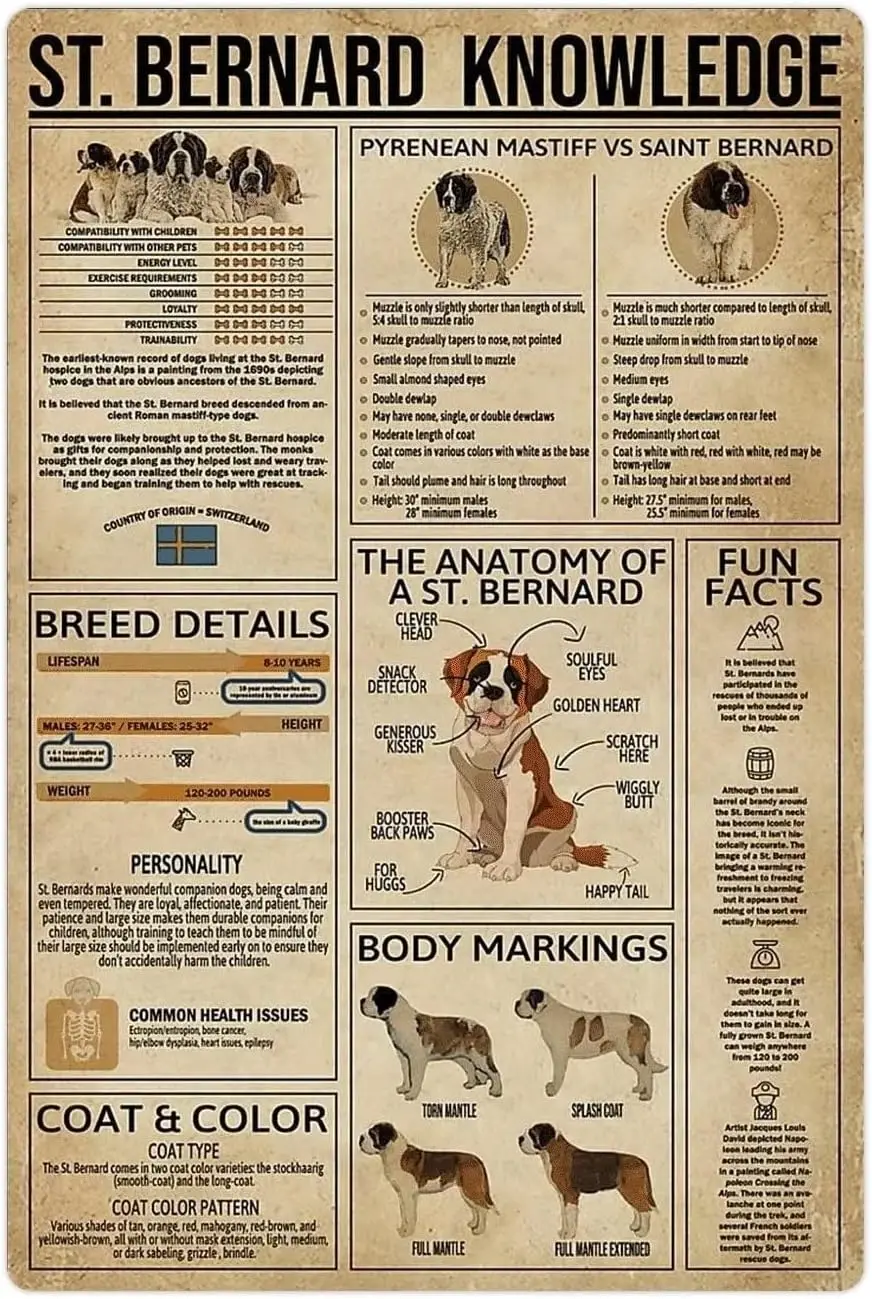 St. Bernard Knowledge Metal Tin Signs St. Bernard Infographics Retro Posters Dog Encyclopedia Chart Plaques Home Kennel Clu sign