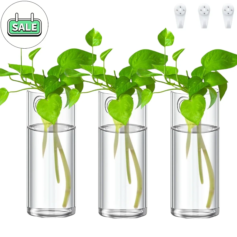 3Pcs/set Glass Wall Vase Hanging Plant Terrarium Propagation Station Glass Planter for Home Office Decor with Traceless Hook