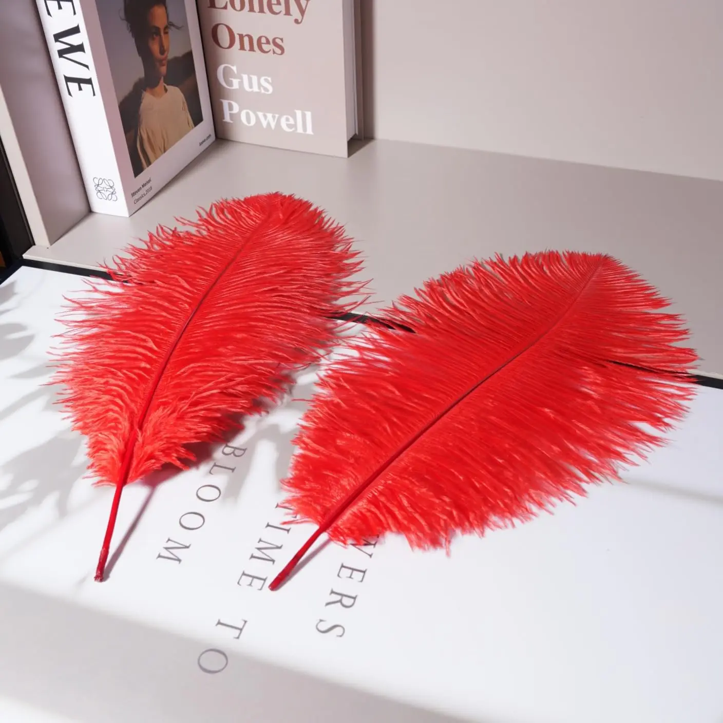 10 pezzi di piume di struzzo rosse 40-45 cm per la decorazione di piume per feste, vasi, centrotavola, decorazioni per la tavola