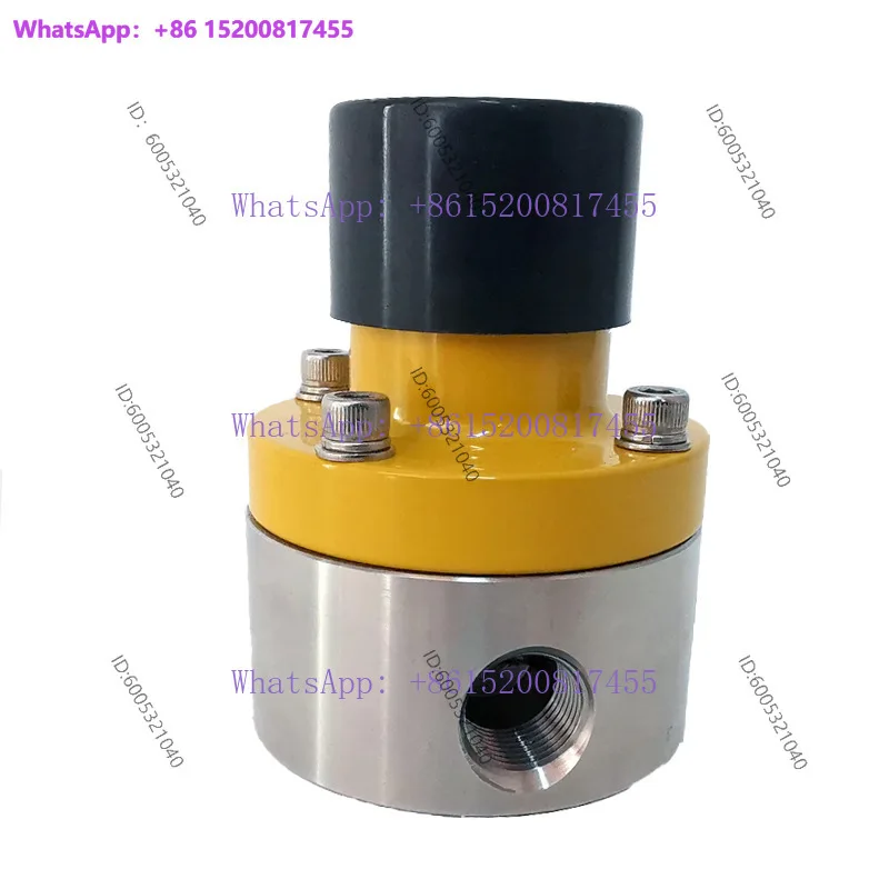 SS316L/SS304 stainless steel back pressure valve metering pump accessories RXBF series thread