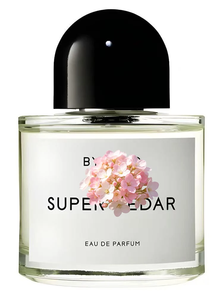 Unisex Eau de Parfum 100ml 3.4 fl.oz Luxury Woody Floral Musk Perfume Long Lasting Elegant Signature Fragrance Fall Scent Holiday Christmas Birthday Anniversary Gift For Men Women view 2