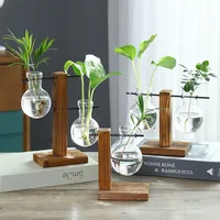 Wooden frame hydroponic vase, green ivy glass vase container, office desk, green plant decoration, flower pot