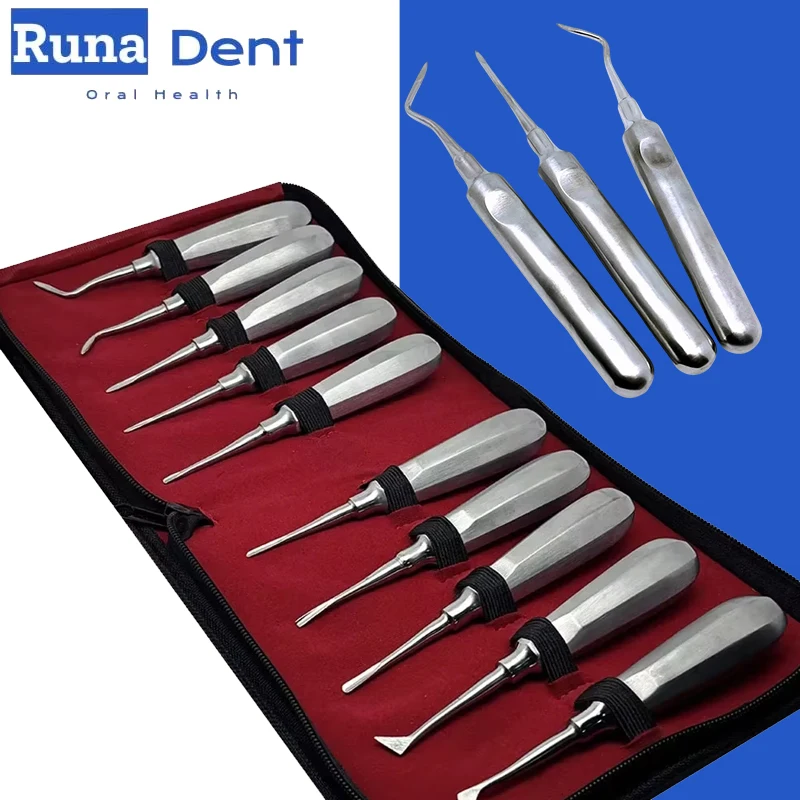 Dental Surgical Elevator Set Stainless Steel Curved Root Forceps Plier Hexagon Handle Extraction Kit