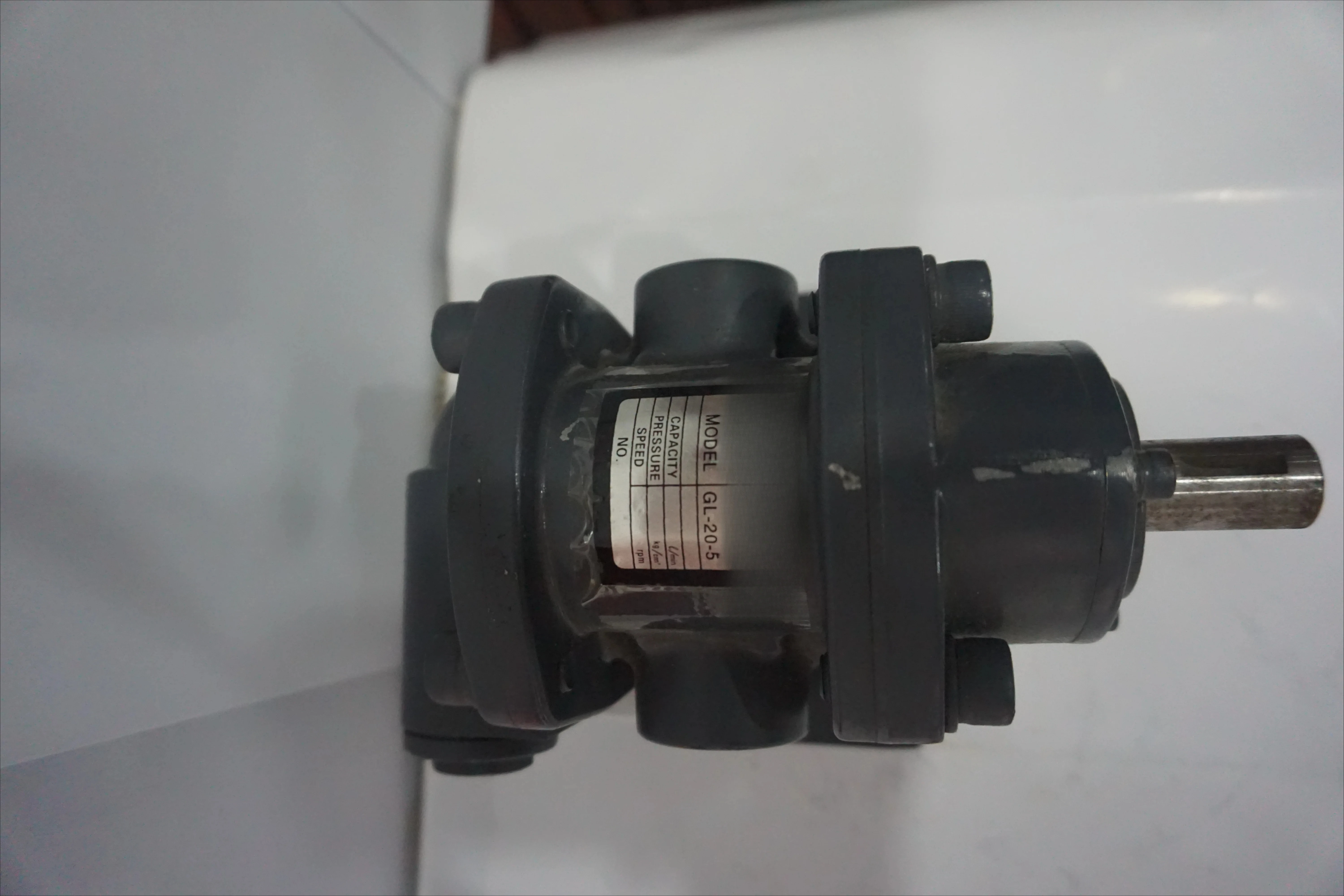 Custom Made Industrial Motor GL Series 1 Br.Hp Gear Oil Pump