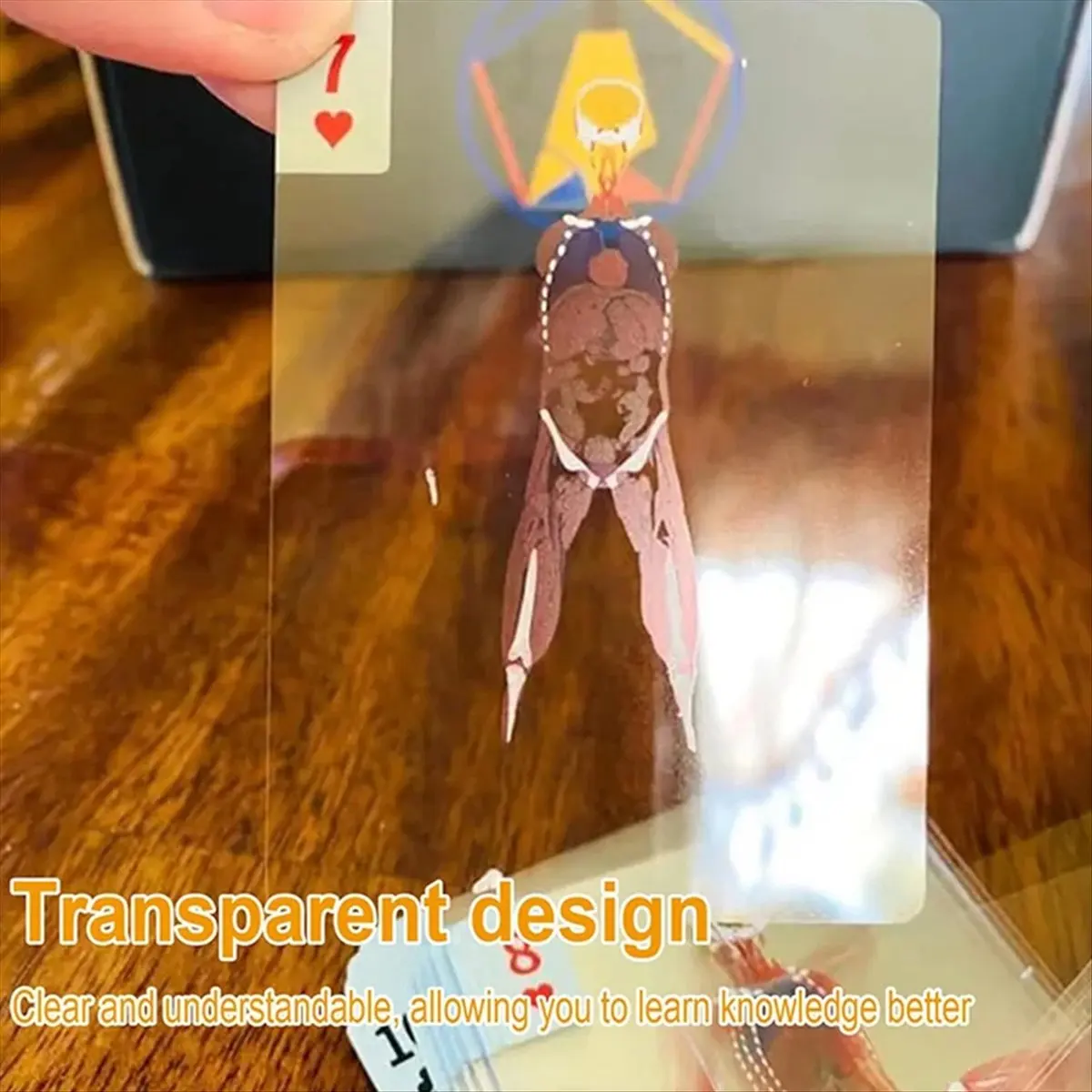 A67T NEW New Body Deck 52 Sheets Playing Cards Interesting Human Anatomy Playing Cards Physical Examination Teacher Students