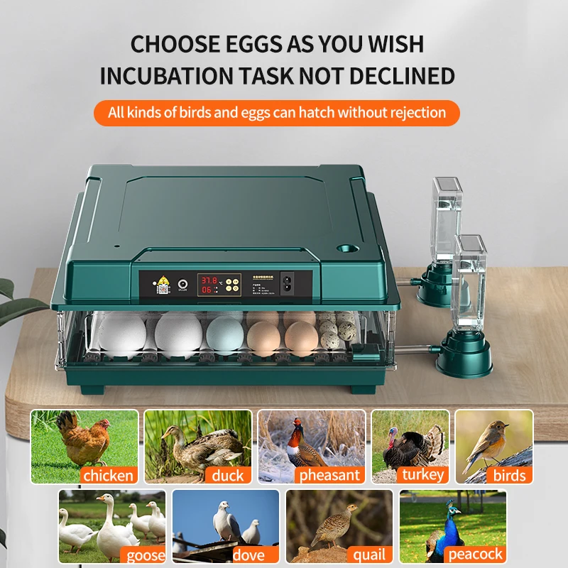 Incubators for Hatching Eggs, Egg Incubator with Automatic Egg Turning, Add water bottle and Hatching days display for Quail Egg