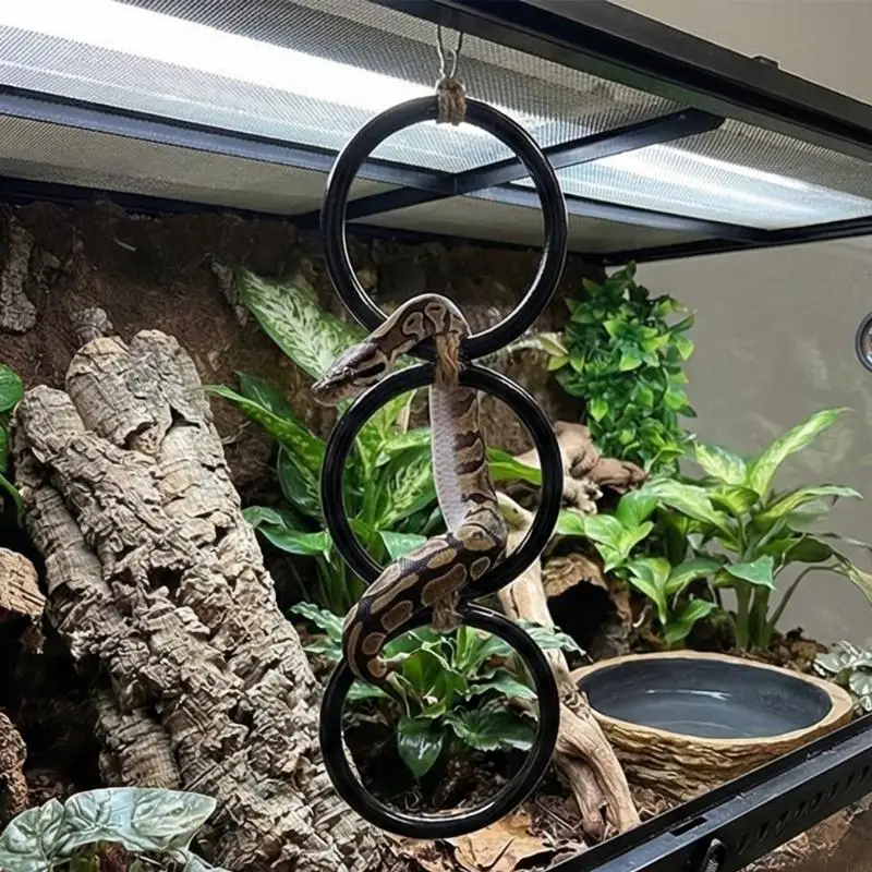   Engagement Activity Climbing Rings Toy for Reptiles Encourages Movement Explore