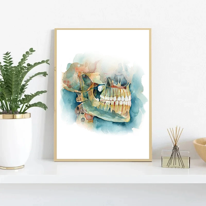 Dental Anatomy Tooth Poster Abstract Teeth Print Canvas Painting Wall Art Picture Medical Clinic Office Decor Dentist Gift