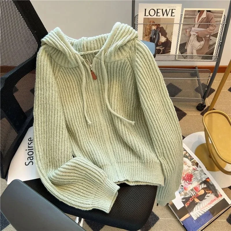 Cardigan en tricot avec fermeture éclair à capuche pour dames, manteau pull paresseux, haut de style design, mode automne et hiver, nouveau, 2024