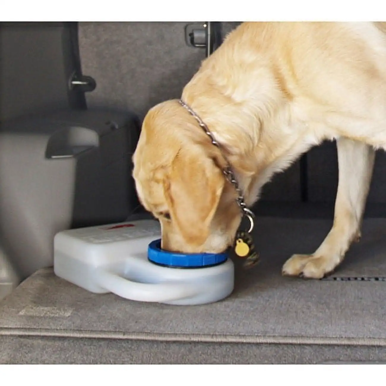 

Heininger Waterboy Travel Bowl for Dogs