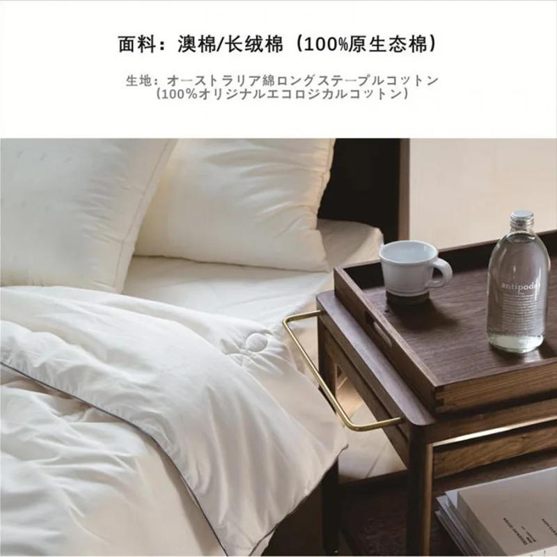 

Customizable silk spring and autumn quilt silk quilt core winter