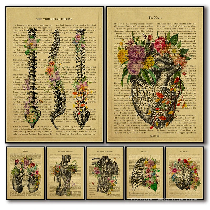 Human Heart/Vertebral Column Anatomy Illustration Poster Medical Dental Retro Prints Home Room Decor Aesthetic Art Wall Painting