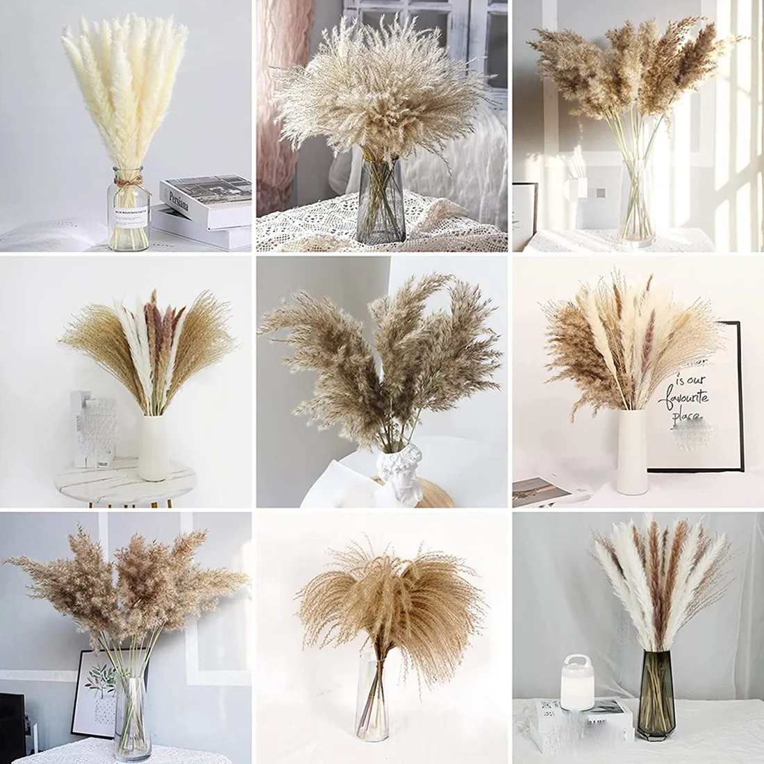 

EAS-77 PCS Natural Dried Pampas Grass Decor,Reed,Bunny Tails Grass,Dried Flowers Bouquet For Home Decor Wedding Boho Decor