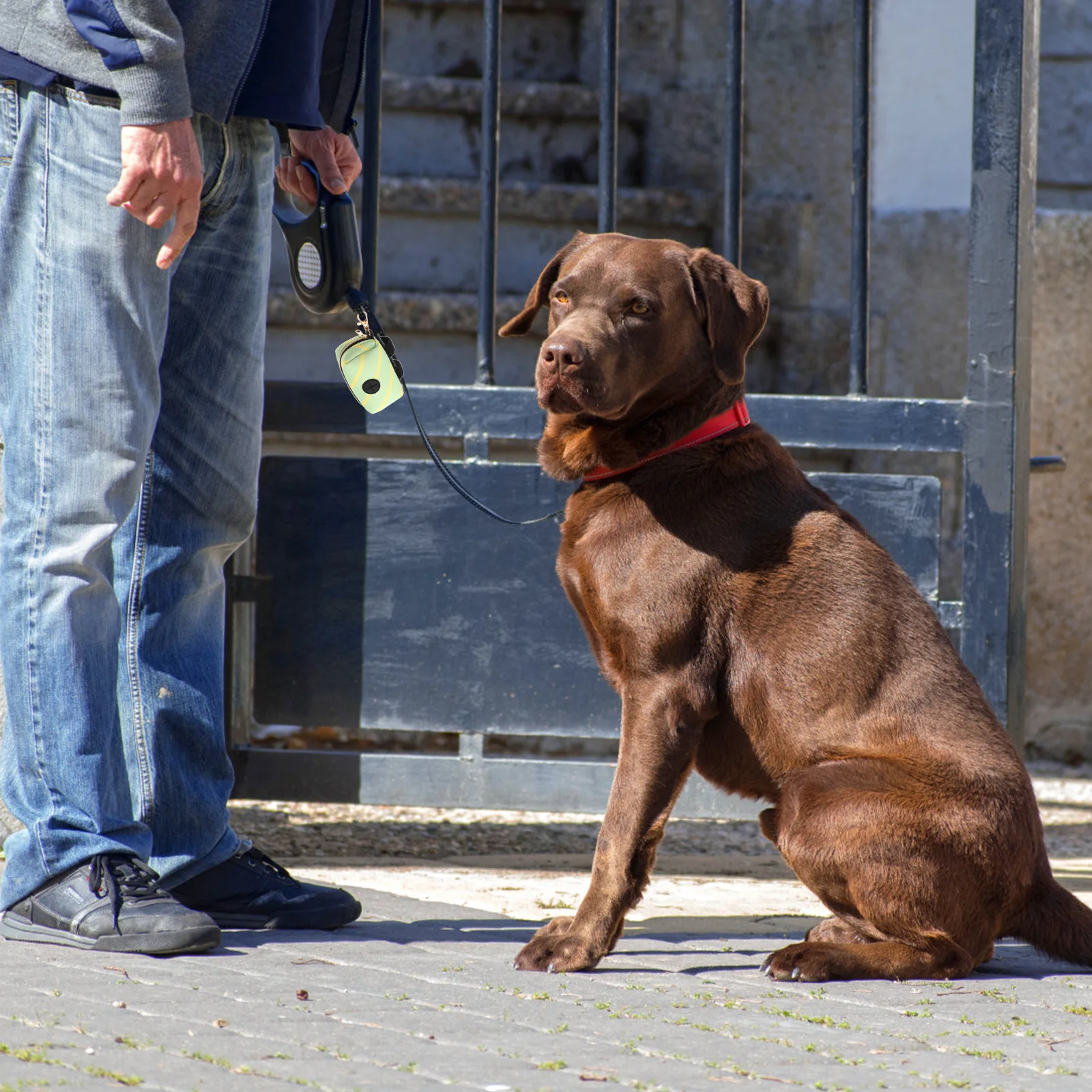 

Dog Poop Bag Holder Portable Wear-Resistant Polyester Buckle Design for Leash Harness Waist Running Outdoor Use Pet Supply